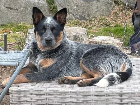 Click to view more details