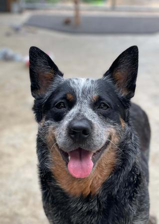 Click to view more details