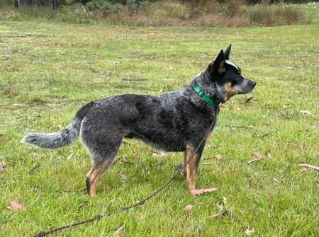 Click to view more details