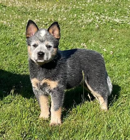 Click to view more details