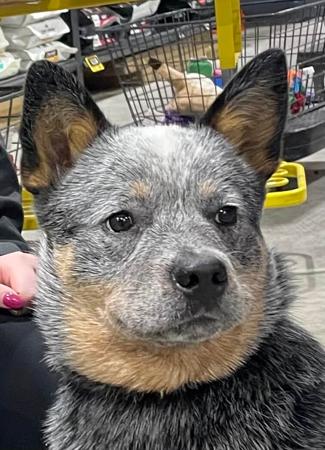 Click to view more details