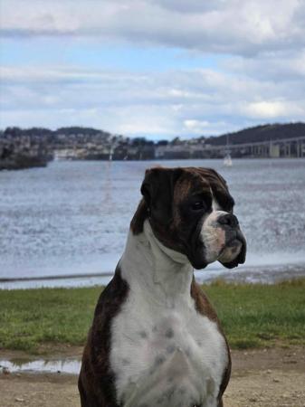 Click to view more details