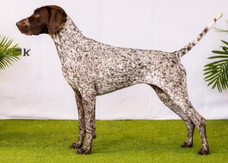 Click to view more details