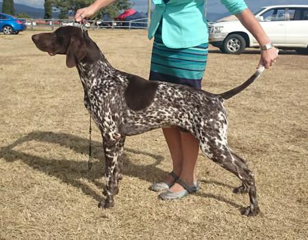 Click to view more details