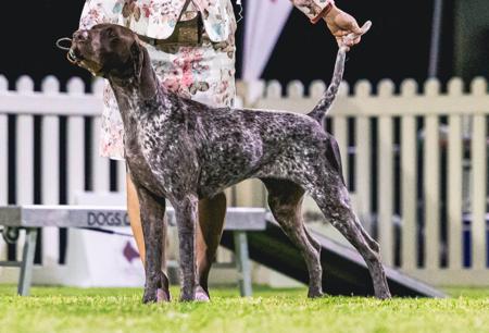 Click to view more details