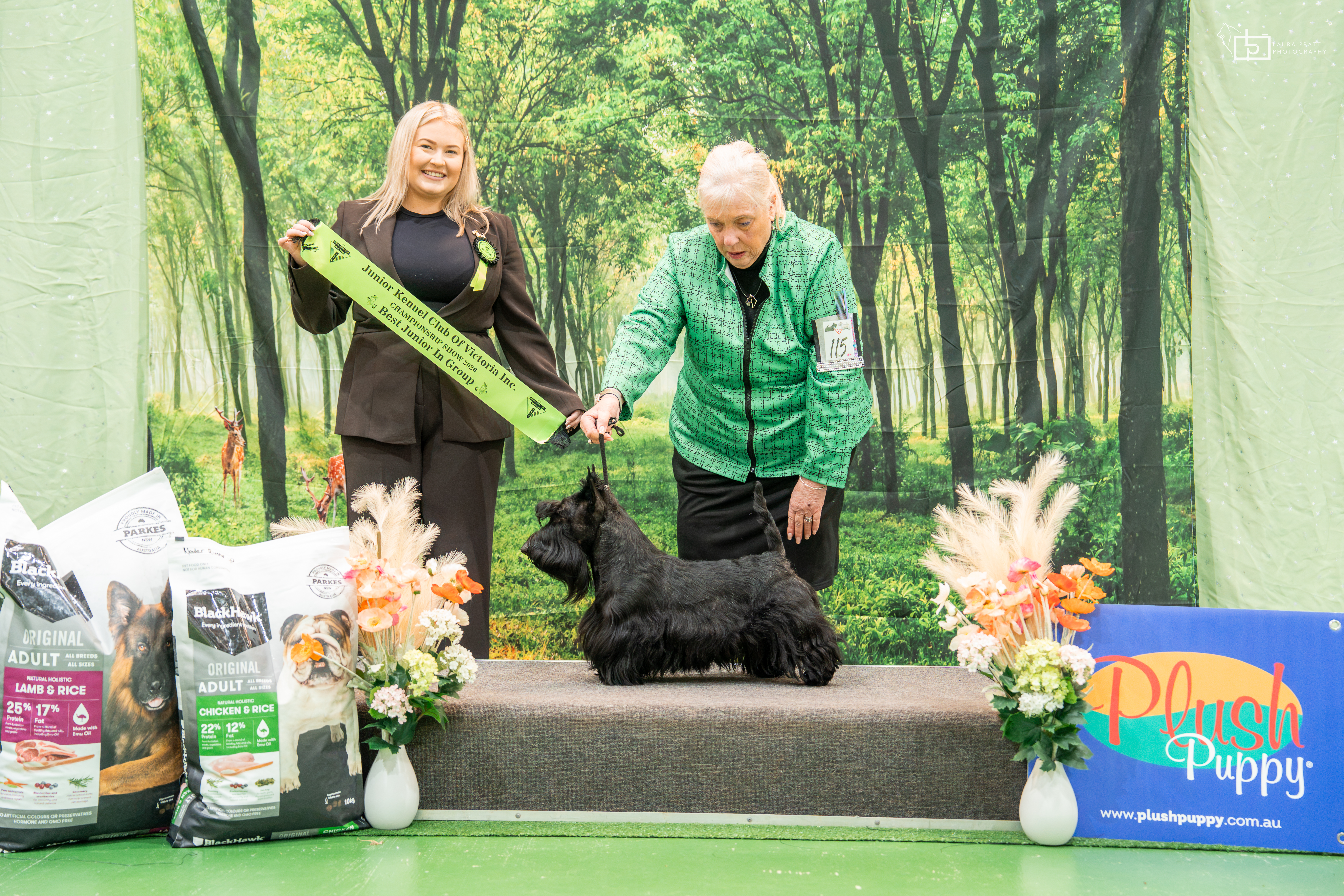 Aust Ch Shortblak Barra Boy Scottish Terrier