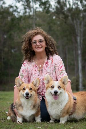 Welsh Corgi (Pembroke) for sale by ELBELLARIDGE