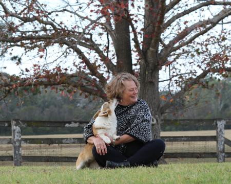 Welsh Corgi (Pembroke) puppy for sale by NIRENO