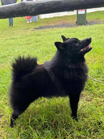 Click to view more details