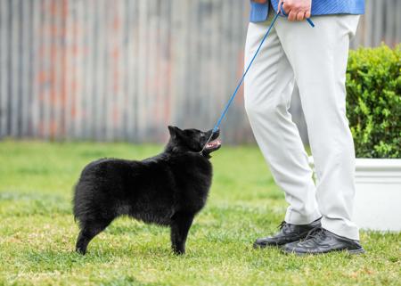 Click to view more details