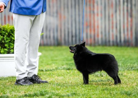 Click to view more details