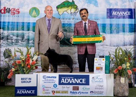 Click to view more details