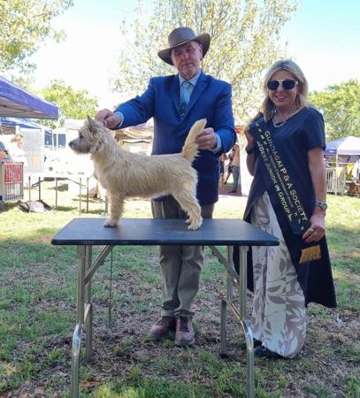 Click to view more details