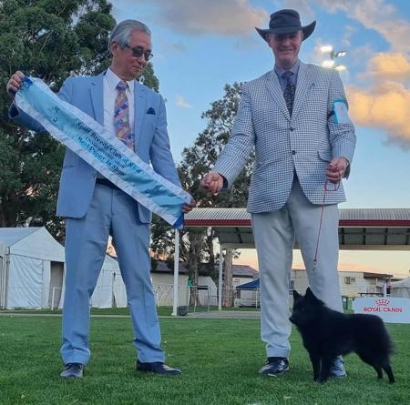 Click to view more details