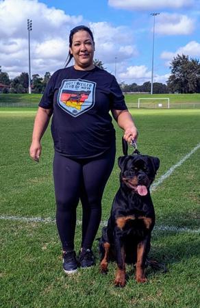 Rottweiler for sale by VANAHEIM