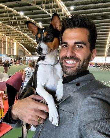 Basenji for sale by REDTRI