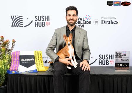 Basenji for sale by REDTRI