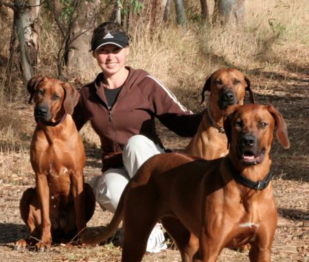 Rhodesian Ridgeback for sale by ALMAZART