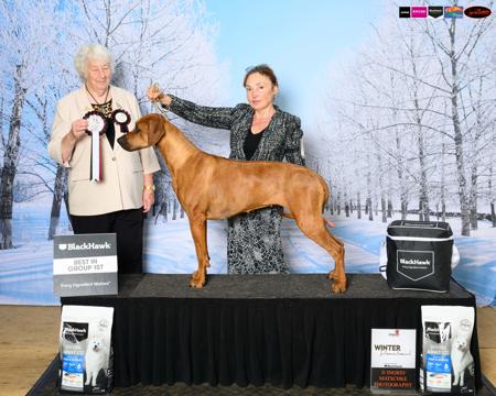 Ch Almazart I Am What I Am Rhodesian Ridgeback