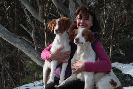 Brittany for sale by TOBENLEE