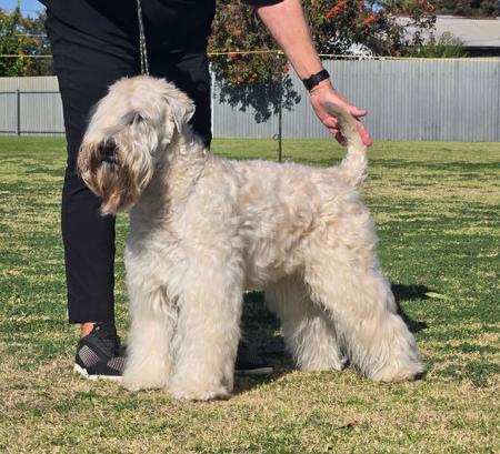 Click to view more details