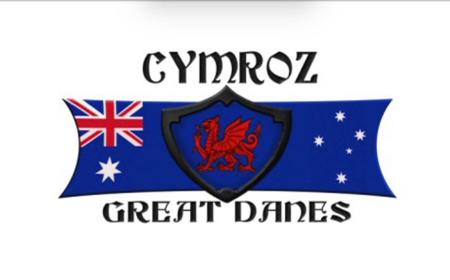 Great Dane for sale by CYMROZ