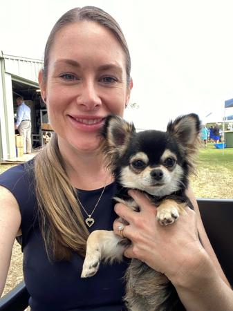 Chihuahua (Long Coat) for sale by JENDRIKA