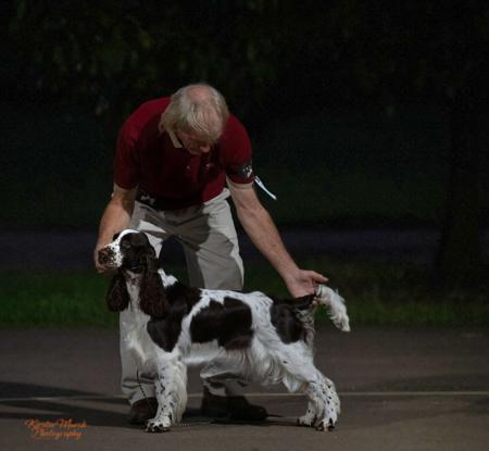 Click to view more details