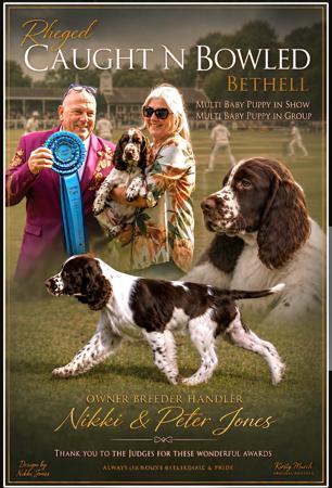 Rheged Caught N Bowled English Springer Spaniel