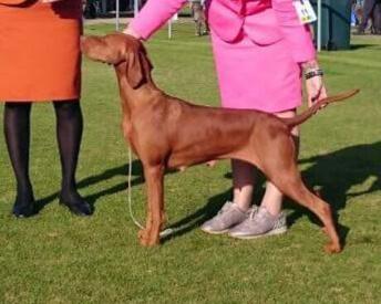 Click to view more details