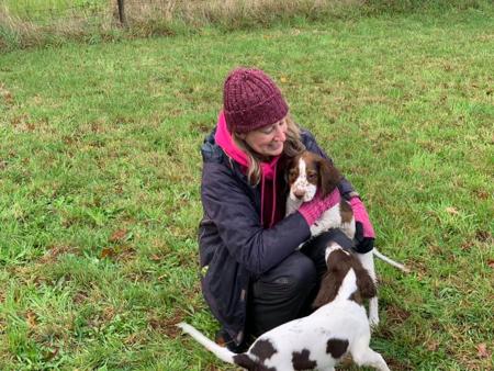 English Springer Spaniel for sale by THORNFIELD