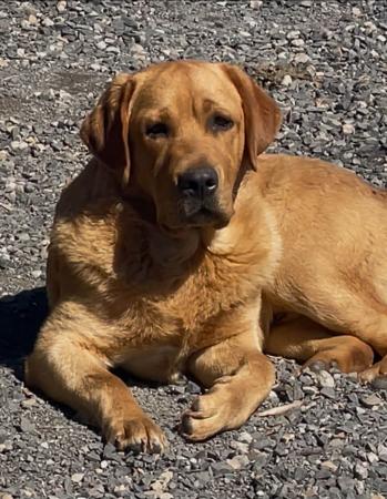 Click to view more details