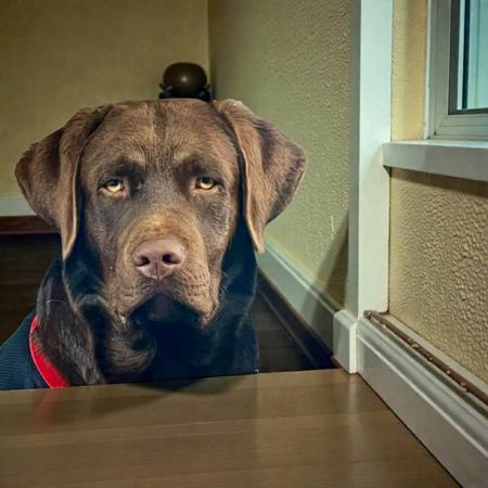 Click to view more details