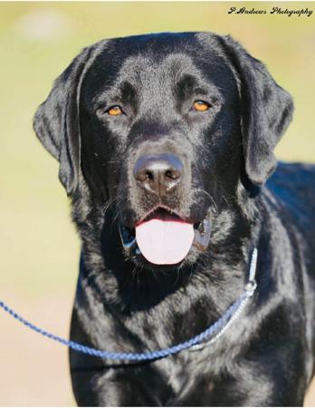 Click to view more details