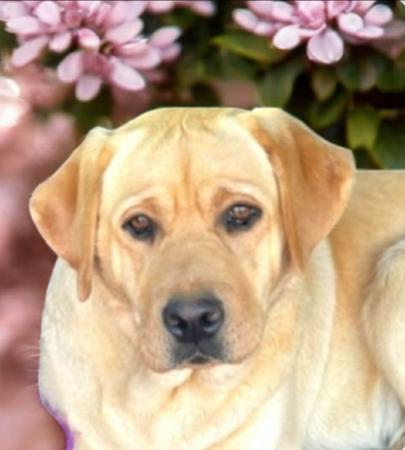 Click to view more details