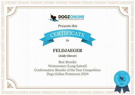 Weimaraner (Long-haired) for sale by FJWEIS