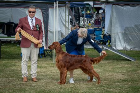 Click to view more details