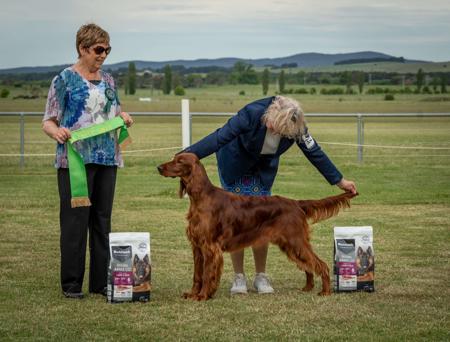 Click to view more details