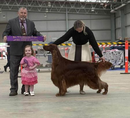 Click to view more details