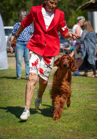 Click to view more details