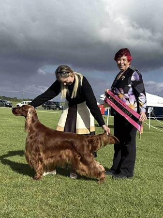 Click to view more details