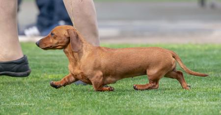 Click to view more details