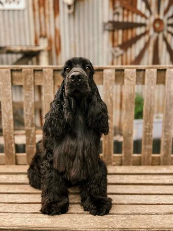 Click to view more details