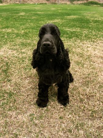 Click to view more details