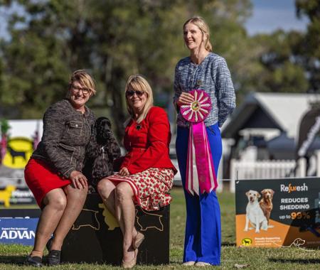 Click to view more details