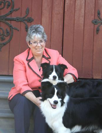 Border Collie for sale by WAVENEY