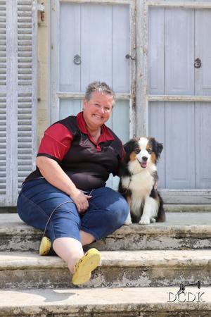 Miniature American Shepherd for sale by SHOWIOZ