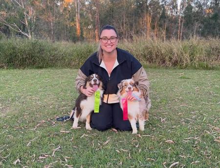 Miniature American Shepherd for sale by BSTRIDGE