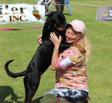 Rottweiler for sale by ROTSTAFELIUS