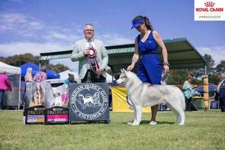 Click to view more details